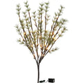 Lit Pine Twigs