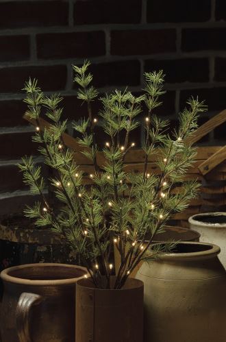 Lit Pine Twigs