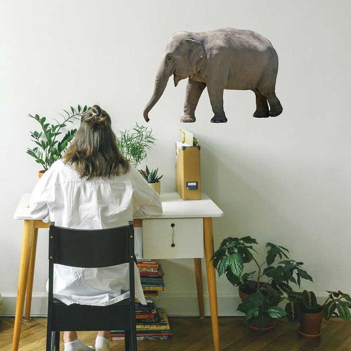 24 inch Lumbering Elephant Decal Installed Above Desk