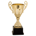 Metal Cup with Handles Trophy on Plastic Base - ACU14