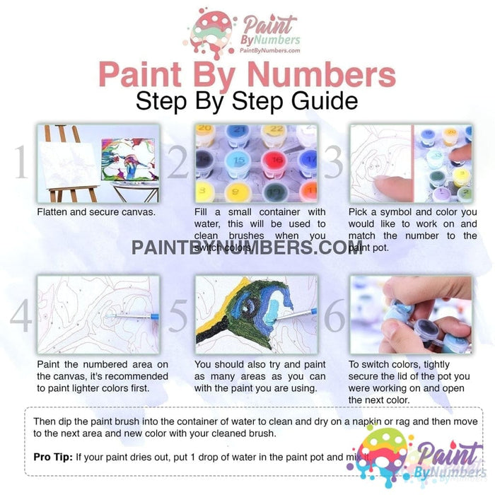 Animal Kingdom Paint By Numbers Kit