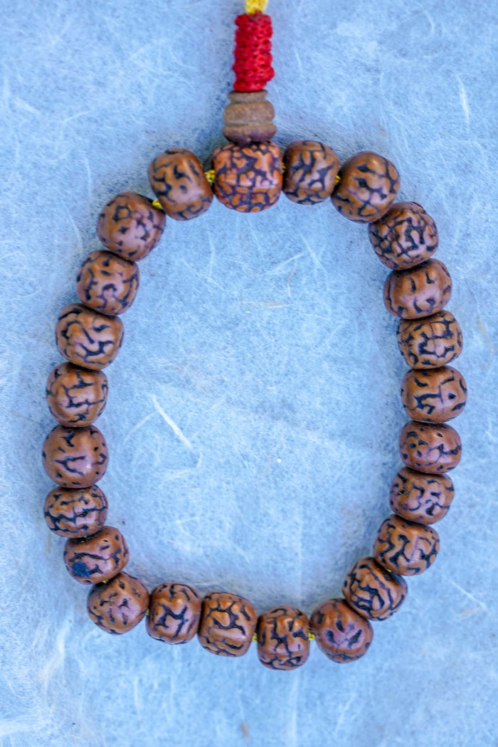 Natural Rudraksha Bracelet from Nepal - Lucky Thanka