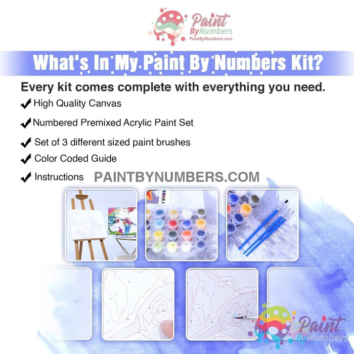 Art Deco New York City Paint By Numbers Kit