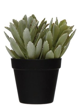 Planted Artificial Succulent