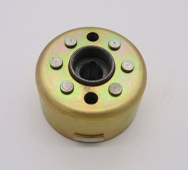Rotor d'allumage Daytona Anima FSM