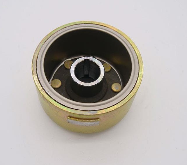 Rotor d'allumage Daytona Anima FSM