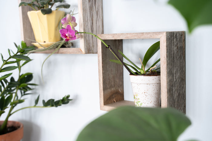 Set Of 3 Square Rustic White Wash Wood Open Box Shelves | Each 12"x12"