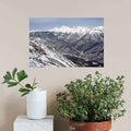 16x24 inch Snowy Mountain Poster Displayed Above Plants