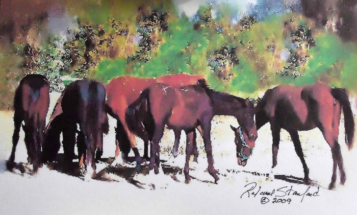 🐎 Tymeless Wonders Mustang Herd Wall Decal (3 Sizes Available)