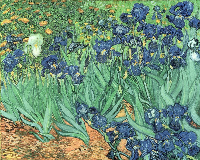 Van Gogh "Irises" (1889) Glossy Poster (4 Sizes Available)