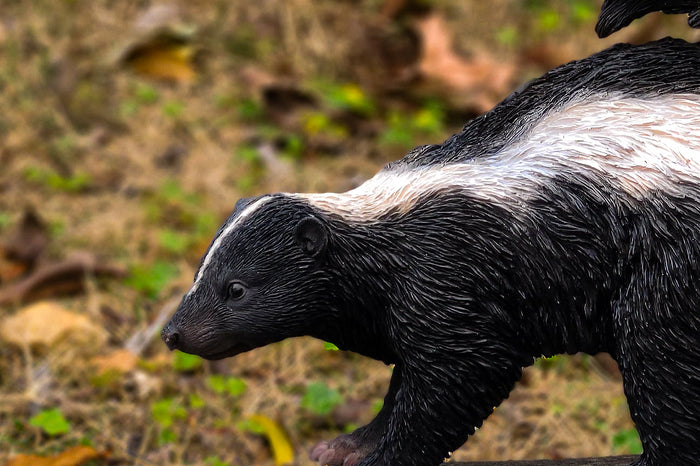 Walking Skunk Statue Hi-Line Gift Ltd.