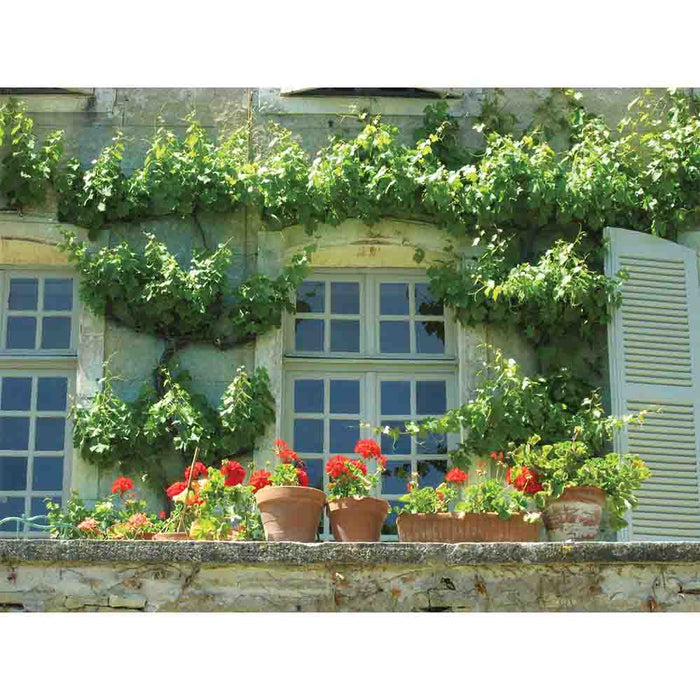 Decorative window box with flowers and plants on a building facade in Auvillar France wall decal printed | Wallhogs