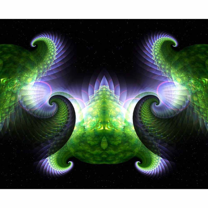 Spiral Space Shells II Wall Decal Printed | Wallhogs