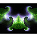 Spiral Space Shells II Wall Decal Printed | Wallhogs